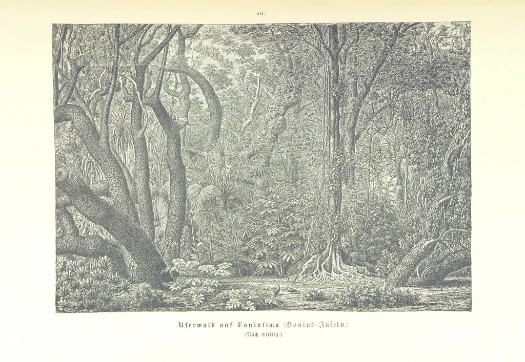 An illustration from Unser Wissen von der Erde. Allgemeine Erdkunde und Länderkunde, herausgegeben unter fachmännischer Mitwirkung von A. Kirchhoff, 1886, leaf 987
