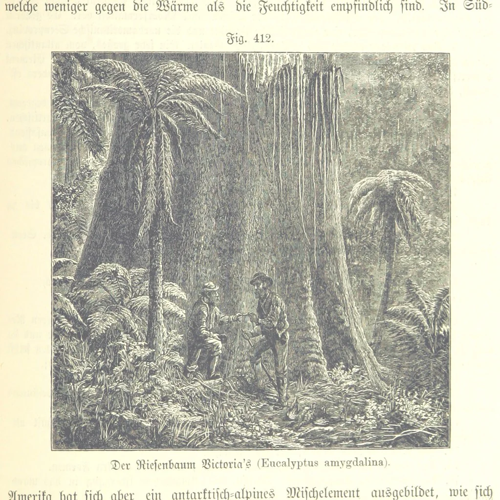 An illustration from Unser Wissen von der Erde. Allgemeine Erdkunde und Länderkunde, herausgegeben unter fachmännischer Mitwirkung von A. Kirchhoff, 1886, leaf 989