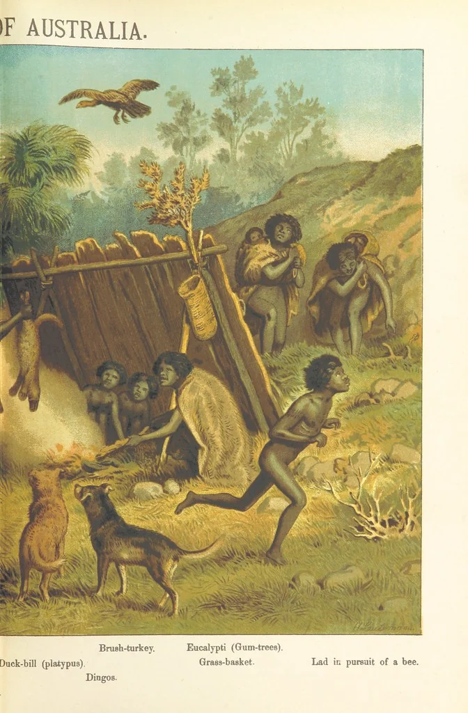 An illustration from Graphic Pictures of Native Life in distant lands, illustrating the typical races of mankind. Depicted by H. Leutemann. With ... text by ... A. Kirchoff [sic]. Translated from the German by G. Philip, Junr., etc, 1888, leaf 15