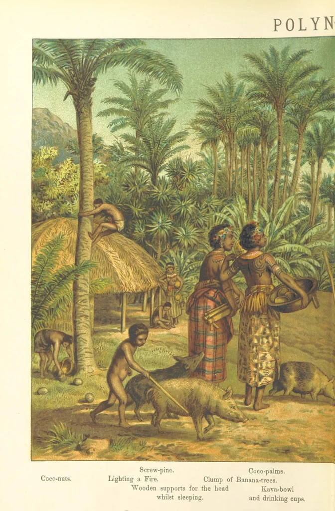 An illustration from Graphic Pictures of Native Life in distant lands, illustrating the typical races of mankind. Depicted by H. Leutemann. With ... text by ... A. Kirchoff [sic]. Translated from the German by G. Philip, Junr., etc, 1888, leaf 30