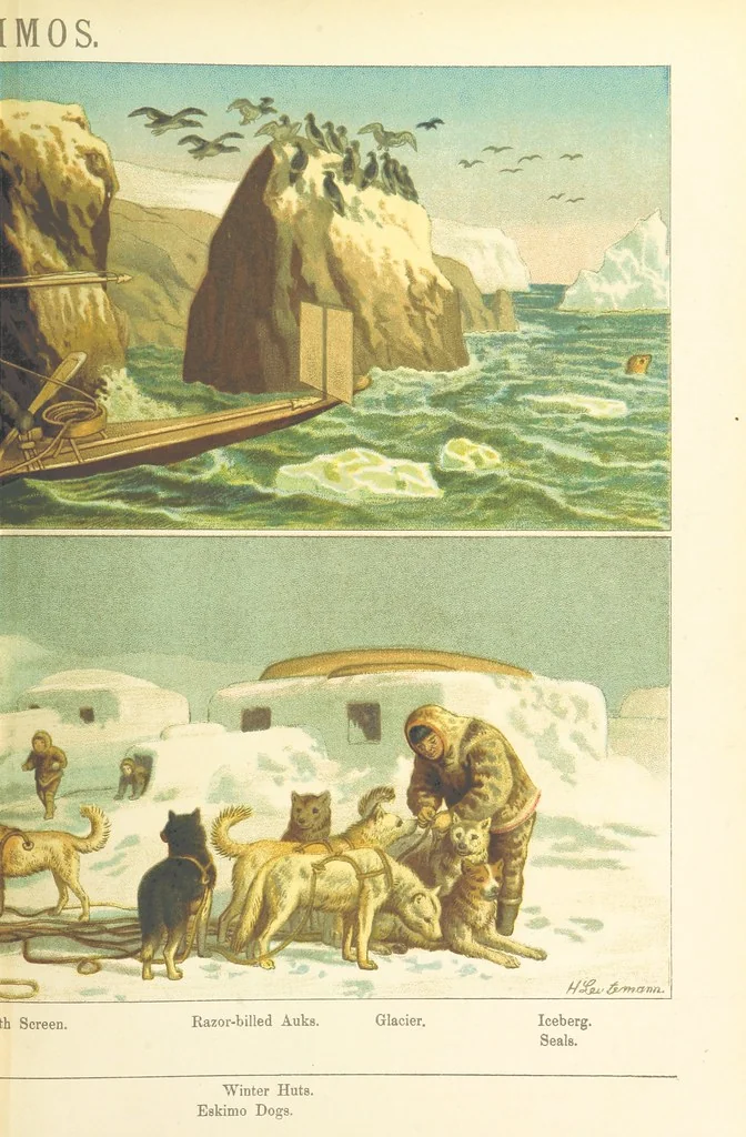 An illustration from Graphic Pictures of Native Life in distant lands, illustrating the typical races of mankind. Depicted by H. Leutemann. With ... text by ... A. Kirchoff [sic]. Translated from the German by G. Philip, Junr., etc, 1888, leaf 39