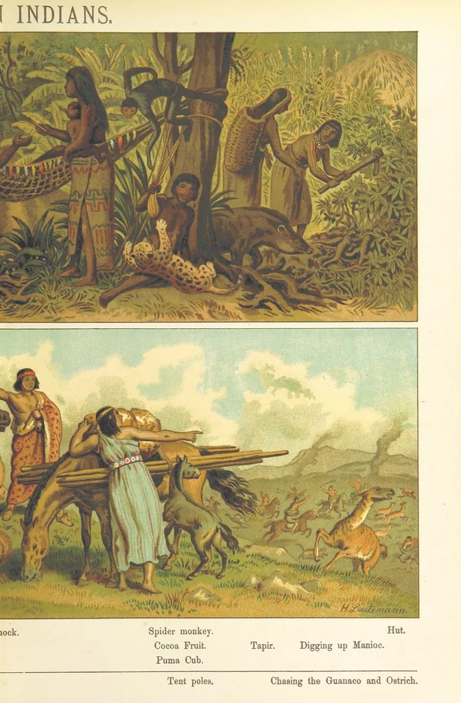 An illustration from Graphic Pictures of Native Life in distant lands, illustrating the typical races of mankind. Depicted by H. Leutemann. With ... text by ... A. Kirchoff [sic]. Translated from the German by G. Philip, Junr., etc, 1888, leaf 51