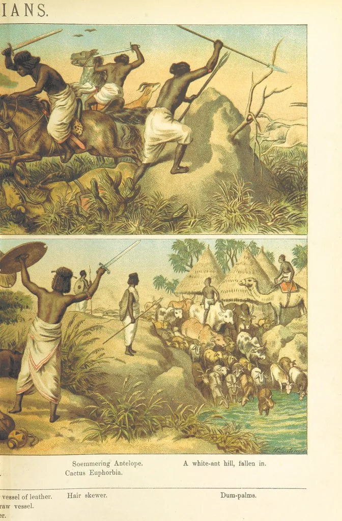 An illustration from Graphic Pictures of Native Life in distant lands, illustrating the typical races of mankind. Depicted by H. Leutemann. With ... text by ... A. Kirchoff [sic]. Translated from the German by G. Philip, Junr., etc, 1888, leaf 77