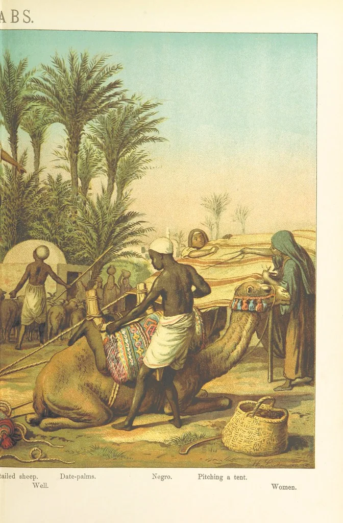 An illustration from Graphic Pictures of Native Life in distant lands, illustrating the typical races of mankind. Depicted by H. Leutemann. With ... text by ... A. Kirchoff [sic]. Translated from the German by G. Philip, Junr., etc, 1888, leaf 85
