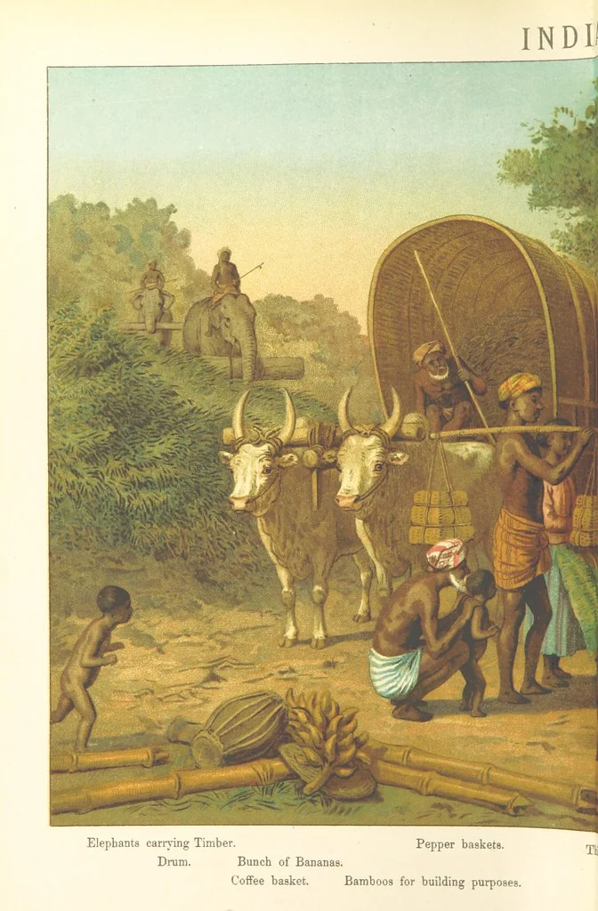 An illustration from Graphic Pictures of Native Life in distant lands, illustrating the typical races of mankind. Depicted by H. Leutemann. With ... text by ... A. Kirchoff [sic]. Translated from the German by G. Philip, Junr., etc, 1888, leaf 92