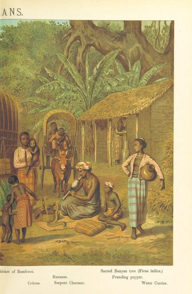An illustration from Graphic Pictures of Native Life in distant lands, illustrating the typical races of mankind. Depicted by H. Leutemann. With ... text by ... A. Kirchoff [sic]. Translated from the German by G. Philip, Junr., etc, 1888, leaf 93