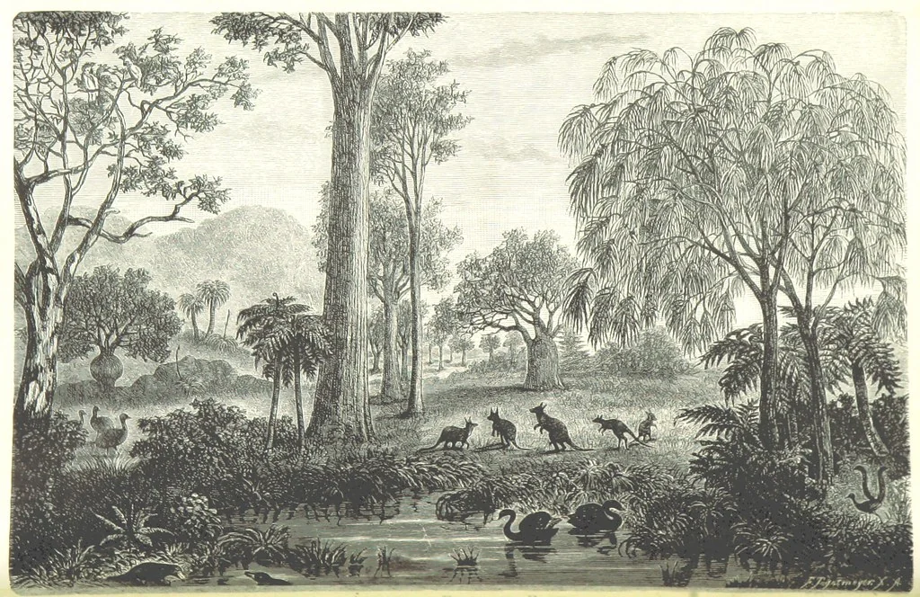 An illustration from School Geography, 1891, leaf 10