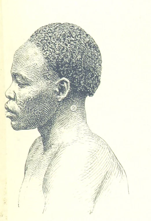 An illustration from School Geography, 1891, leaf 109