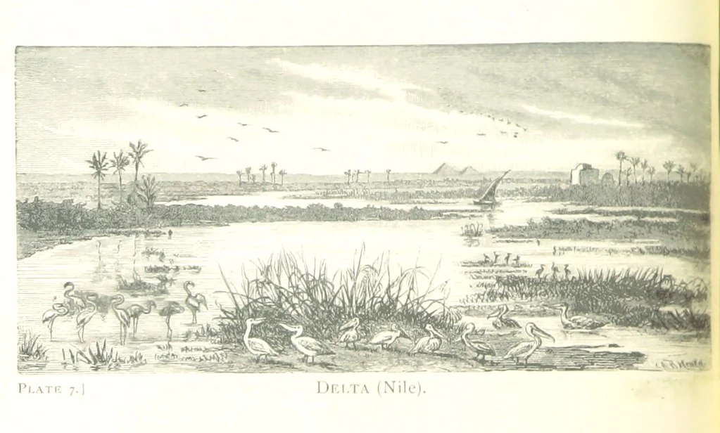 An illustration from School Geography, 1891, leaf 46