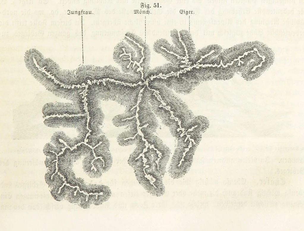An illustration from Handbuch der Erdkunde, 1859, leaf 131