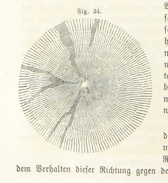 An illustration from Handbuch der Erdkunde, 1859, leaf 134