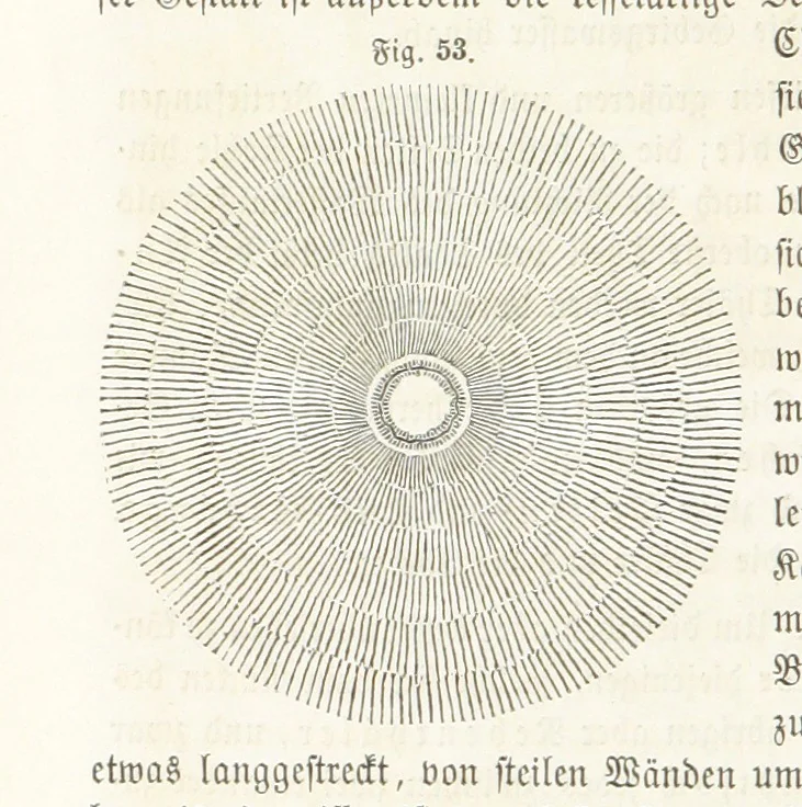 An illustration from Handbuch der Erdkunde, 1859, leaf 134