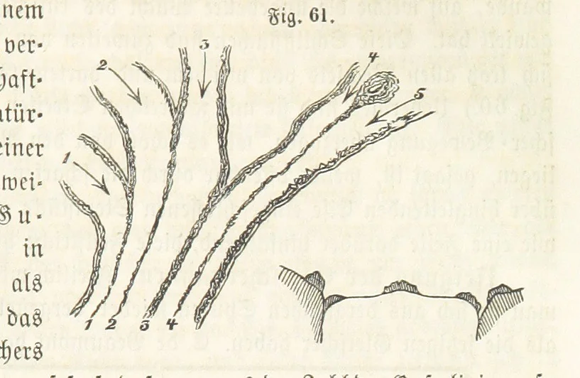 An illustration from Handbuch der Erdkunde, 1859, leaf 145