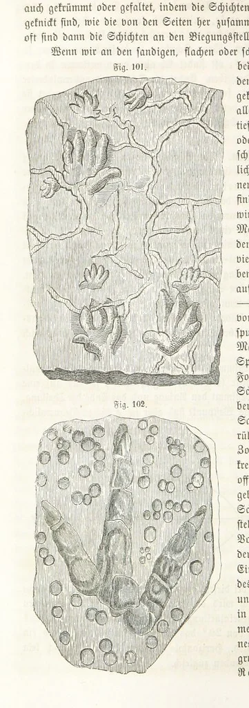 An illustration from Handbuch der Erdkunde, 1859, leaf 240