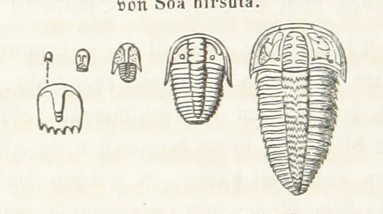 An illustration from Handbuch der Erdkunde, 1859, leaf 268