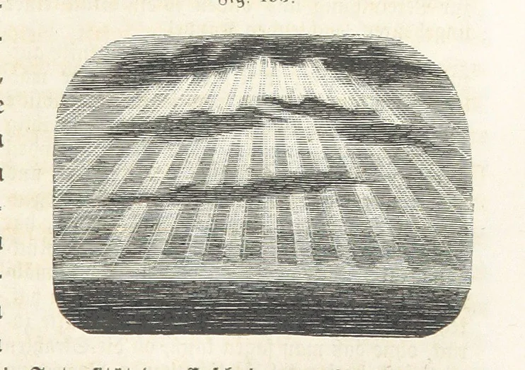 An illustration from Handbuch der Erdkunde, 1859, leaf 705