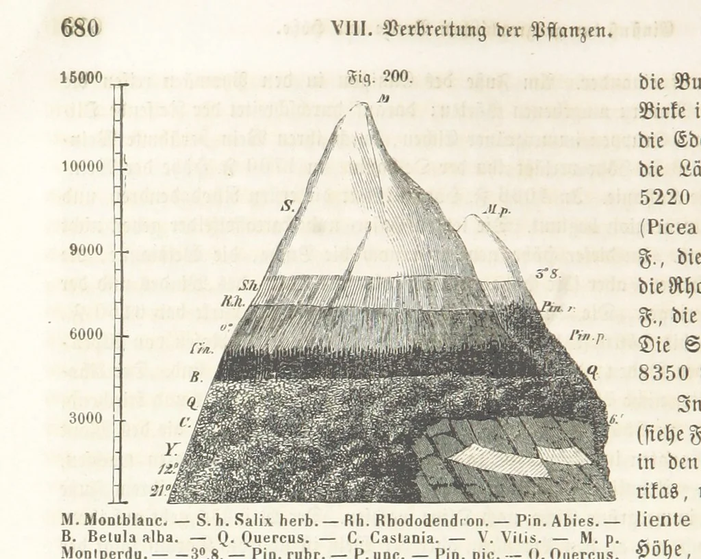 An illustration from Handbuch der Erdkunde, 1859, leaf 736