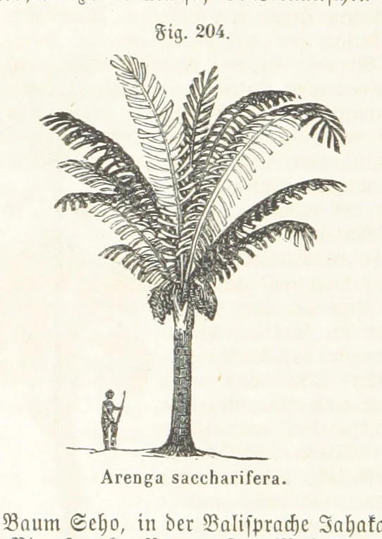 An illustration from Handbuch der Erdkunde, 1859, leaf 770