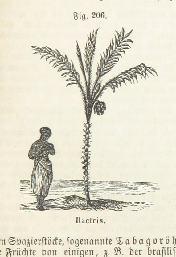 An illustration from Handbuch der Erdkunde, 1859, leaf 771