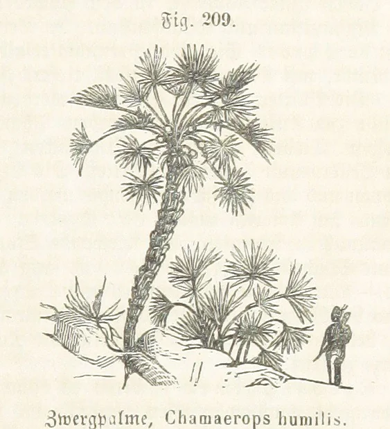 An illustration from Handbuch der Erdkunde, 1859, leaf 773
