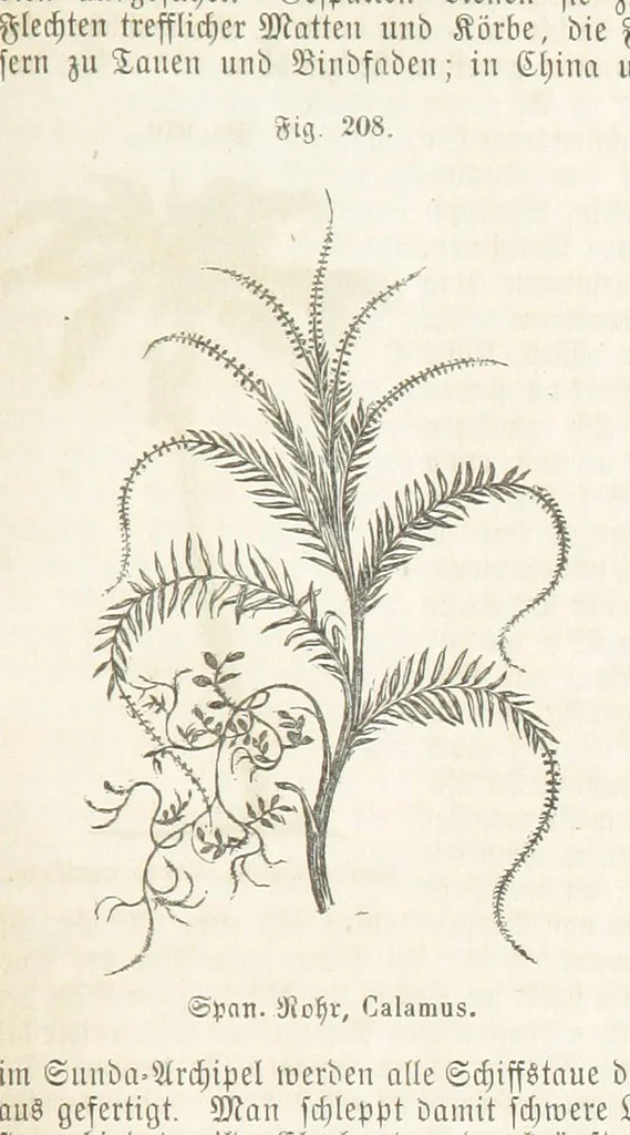 An illustration from Handbuch der Erdkunde, 1859, leaf 773