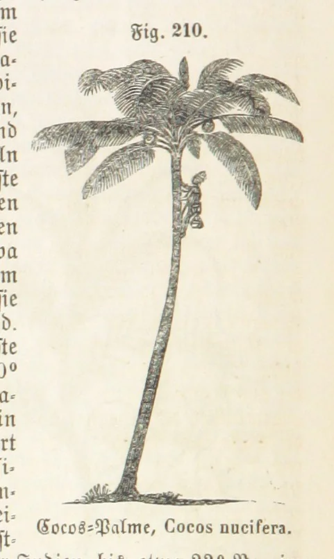 An illustration from Handbuch der Erdkunde, 1859, leaf 774