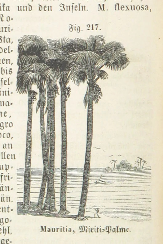 An illustration from Handbuch der Erdkunde, 1859, leaf 782