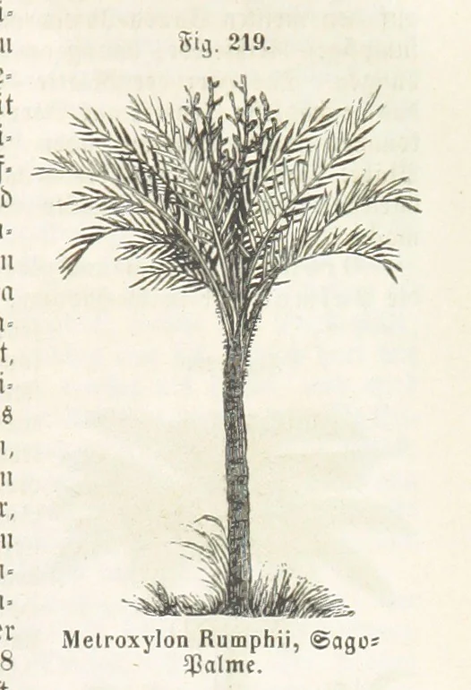 An illustration from Handbuch der Erdkunde, 1859, leaf 783