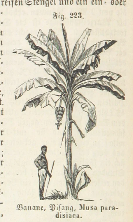 An illustration from Handbuch der Erdkunde, 1859, leaf 786