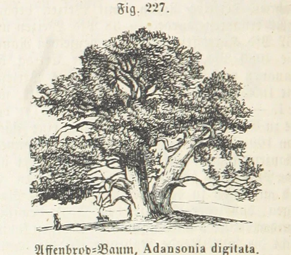 An illustration from Handbuch der Erdkunde, 1859, leaf 788