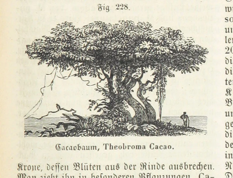 An illustration from Handbuch der Erdkunde, 1859, leaf 789