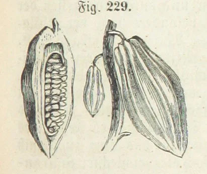 An illustration from Handbuch der Erdkunde, 1859, leaf 789
