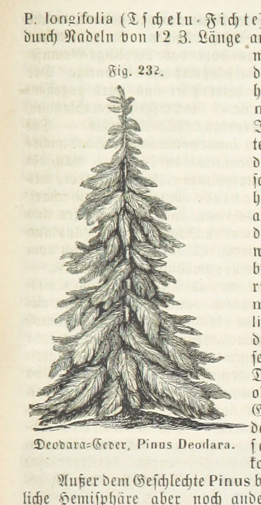 An illustration from Handbuch der Erdkunde, 1859, leaf 795