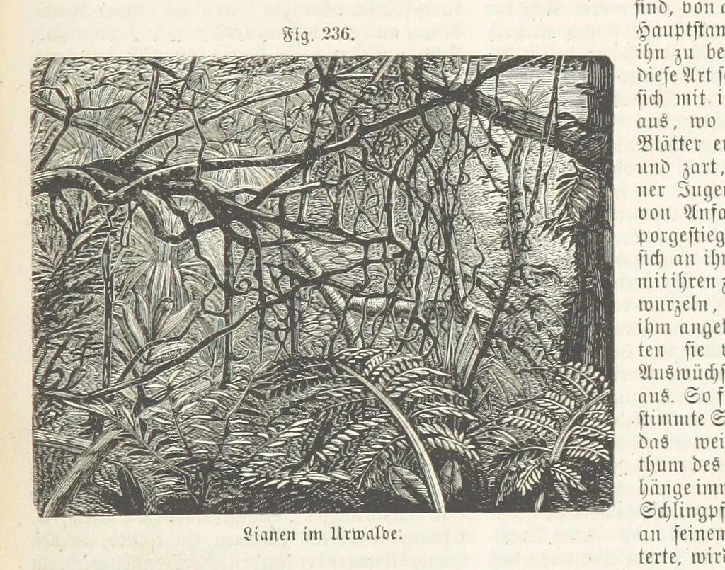 An illustration from Handbuch der Erdkunde, 1859, leaf 797