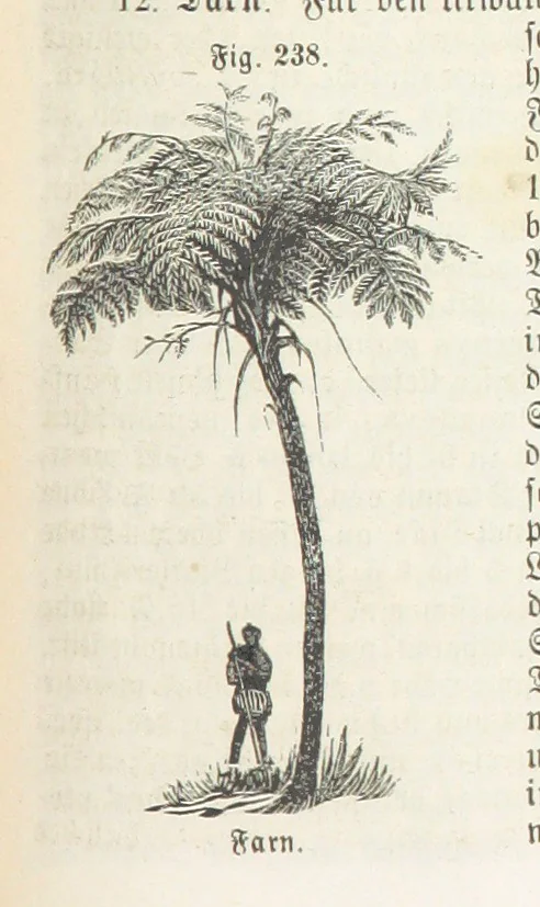An illustration from Handbuch der Erdkunde, 1859, leaf 799