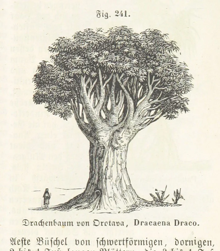 An illustration from Handbuch der Erdkunde, 1859, leaf 801