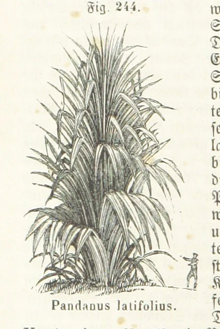 An illustration from Handbuch der Erdkunde, 1859, leaf 802