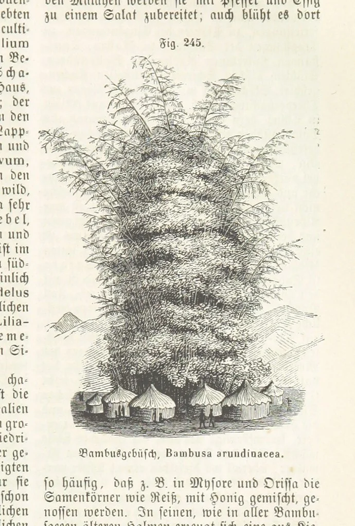 An illustration from Handbuch der Erdkunde, 1859, leaf 803