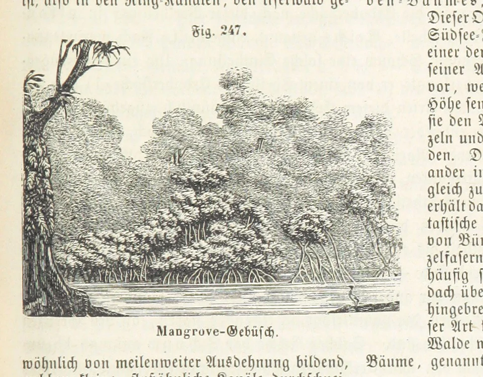 An illustration from Handbuch der Erdkunde, 1859, leaf 811