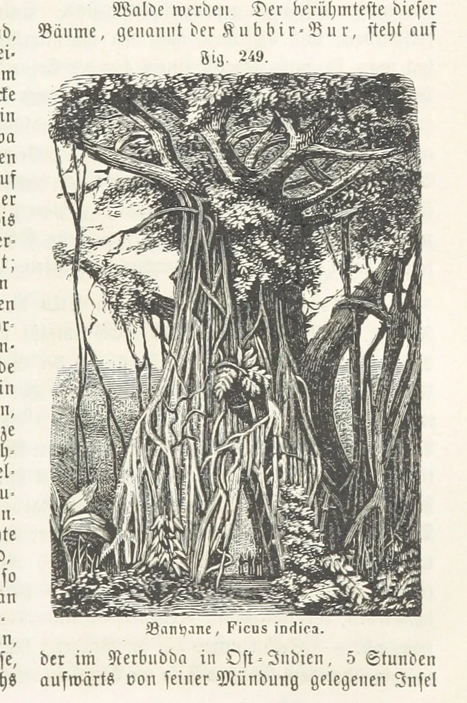 An illustration from Handbuch der Erdkunde, 1859, leaf 811