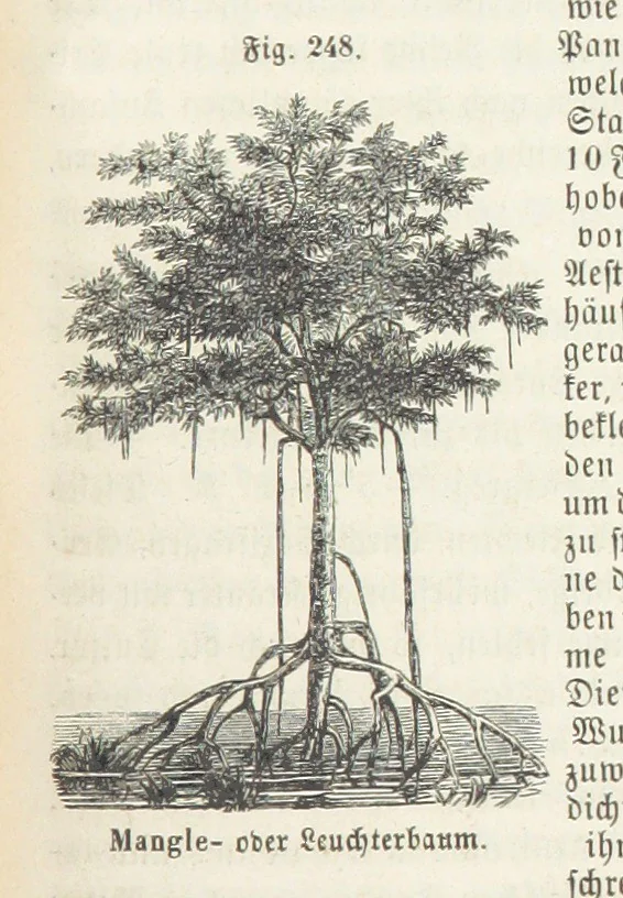 An illustration from Handbuch der Erdkunde, 1859, leaf 811