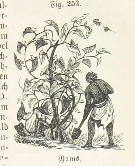 An illustration from Handbuch der Erdkunde, 1859, leaf 821