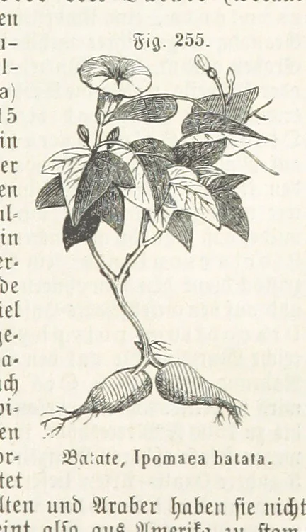 An illustration from Handbuch der Erdkunde, 1859, leaf 821