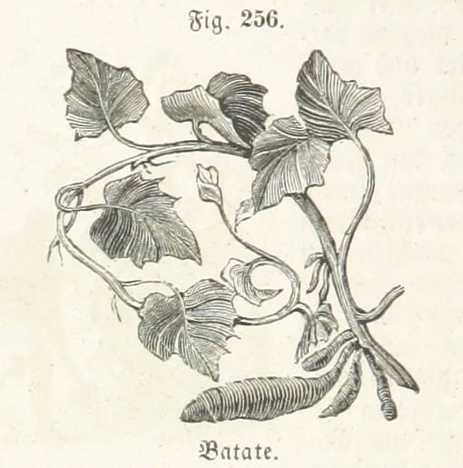 An illustration from Handbuch der Erdkunde, 1859, leaf 822
