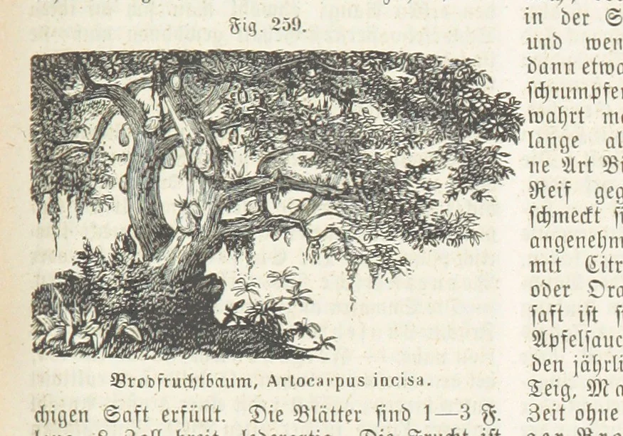 An illustration from Handbuch der Erdkunde, 1859, leaf 827
