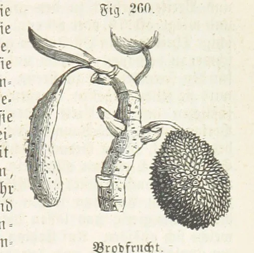 An illustration from Handbuch der Erdkunde, 1859, leaf 827