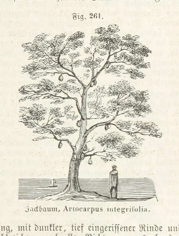 An illustration from Handbuch der Erdkunde, 1859, leaf 827