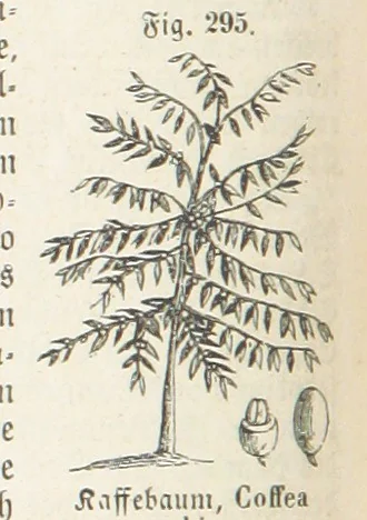 An illustration from Handbuch der Erdkunde, 1859, leaf 838