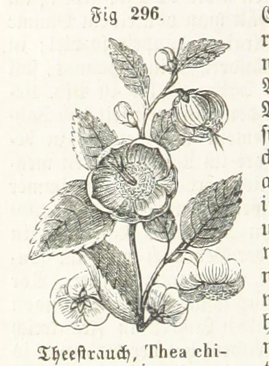 An illustration from Handbuch der Erdkunde, 1859, leaf 840