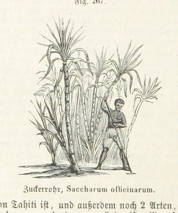 An illustration from Handbuch der Erdkunde, 1859, leaf 842